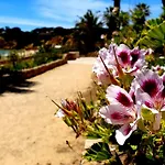 Διαμέρισμα Sao Rafael Golden Pearl Haven