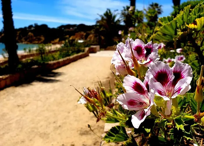 アパート Sao Rafael Golden Pearl Haven