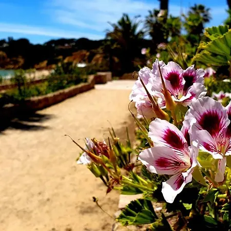 Apartment Sao Rafael Golden Pearl Haven